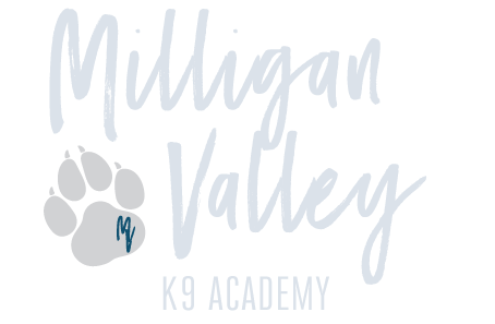mv-Logo-gray-large